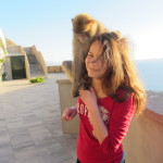 Gibralter monkeys