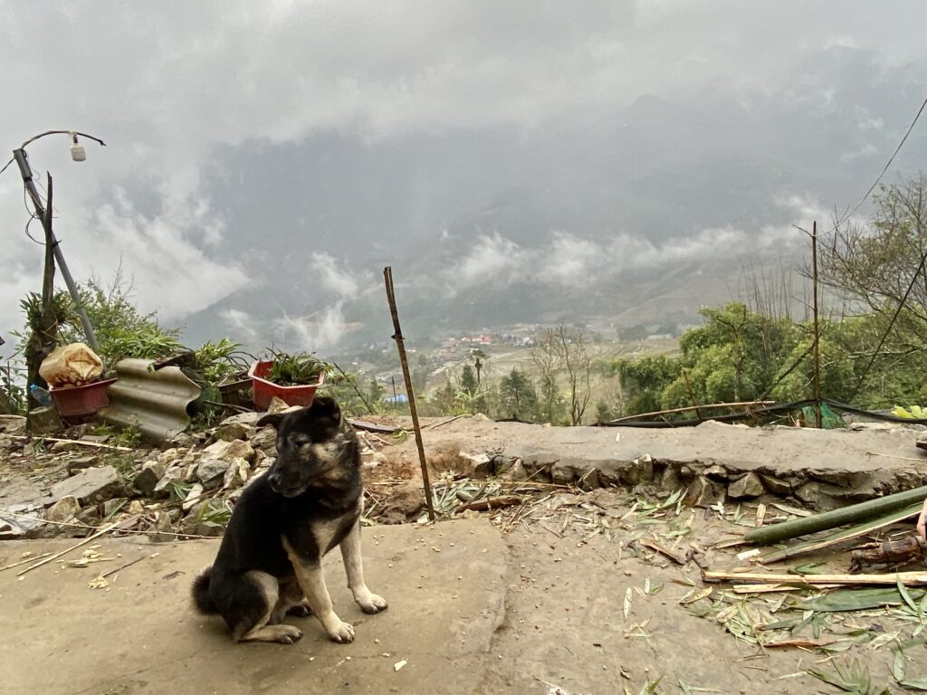Traditional Dog Hmong Village